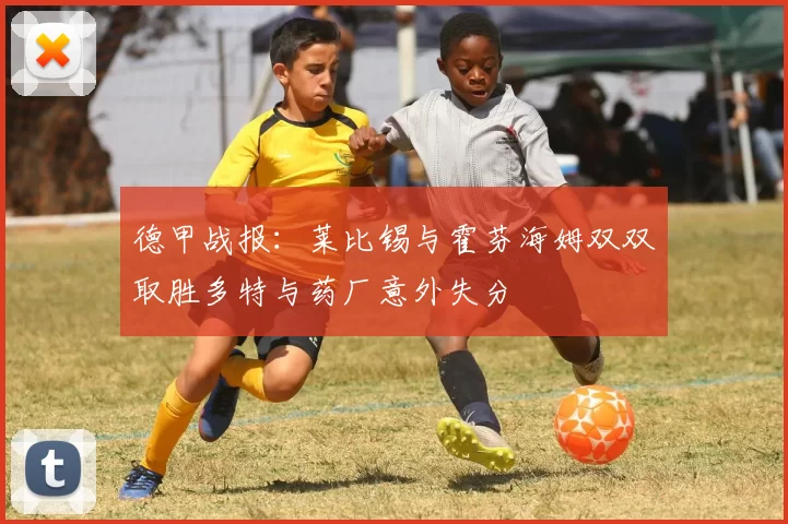 德甲战报：莱比锡与霍芬海姆双双取胜多特与药厂意外失分