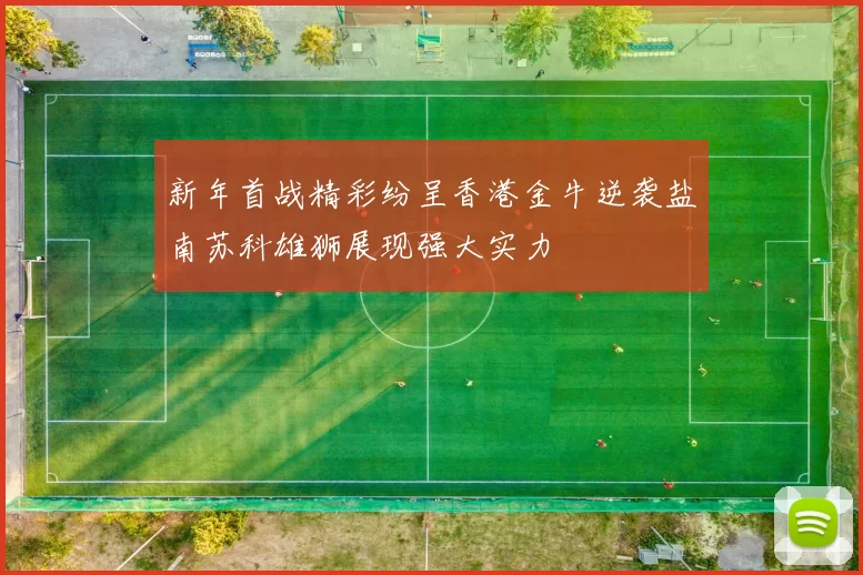 新年首战精彩纷呈香港金牛逆袭盐南苏科雄狮展现强大实力